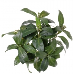 Kunstplant Laurierbush (Laurus)  40cm, brandvertragend